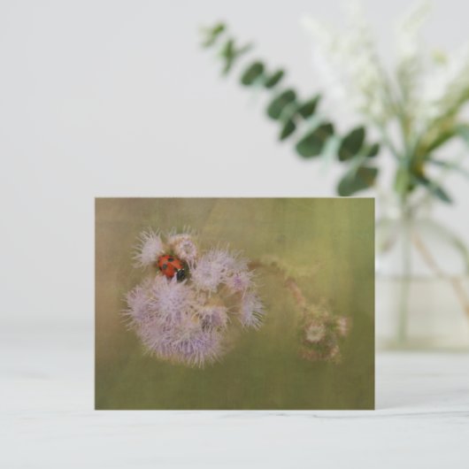 Ladybird op Paarse Dandelion Briefkaart (Staand voorkant)