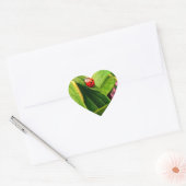 Ladybird Sticker (Envelop)