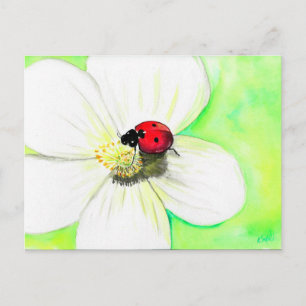 Ladybird sur une carte postale peinte en fleurs bl