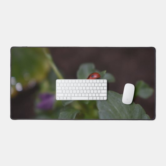 Ladybug (Clavier et souris)