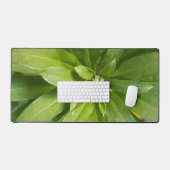 Ladybug (Clavier et souris)