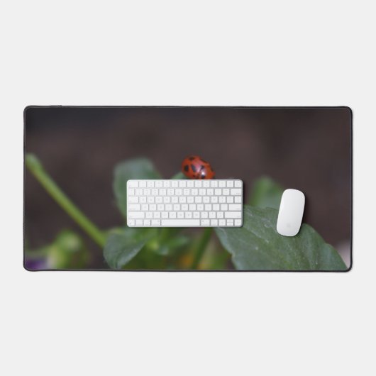 Ladybug (Clavier et souris)