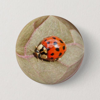 Ladybug 226 ~-toets ronde button 5,7 cm