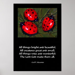 LADYBUG ALLE DINGEN MET EEN KLEIN POSTER