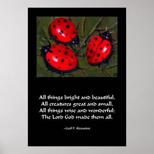 LADYBUG ALLE DINGEN MET EEN KLEIN POSTER (Voorkant)