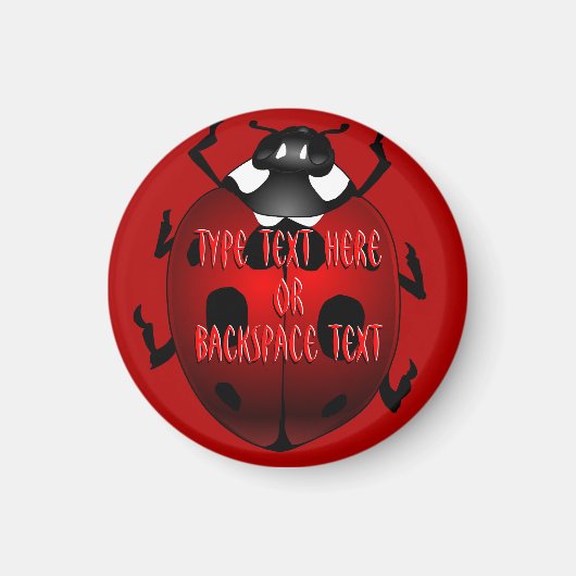 Ladybug Art Magnet Custom Ladybug Koelkast Magnete Magneet (Voorkant)