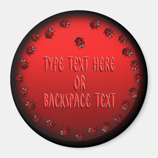 Ladybug Art Magnet Custom Ladybug Koelkast Magnete Magneet (Voorkant)