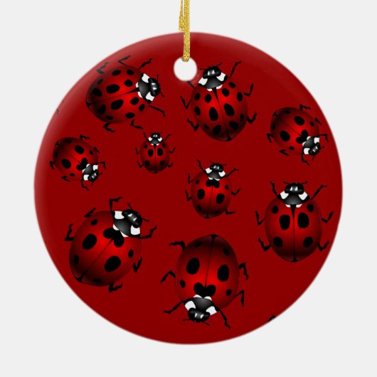 Ladybug Art Ornament Bug Keepomwille Ladybug Gifts (Achterkant)