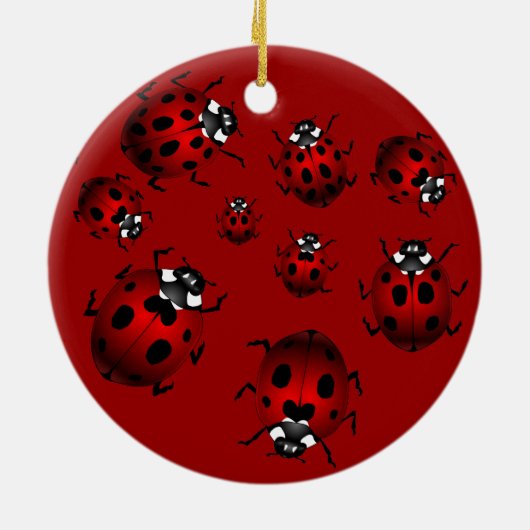 Ladybug Art Ornament Bug Keepomwille Ladybug Gifts (Achterkant)