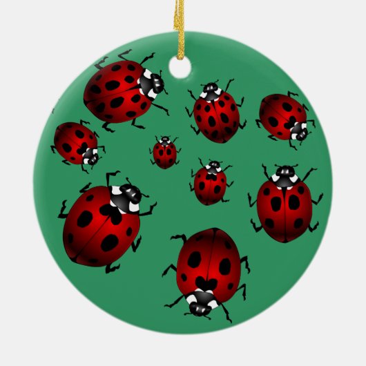 Ladybug Art Ornament Bug Keepomwille Ladybug Gifts (Achterkant)