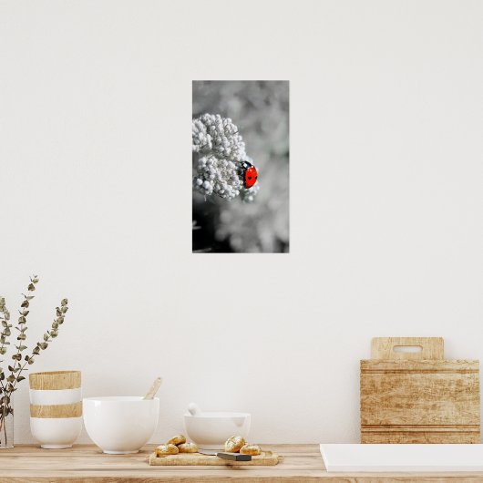 Ladybug - B&W Poster (Keuken)