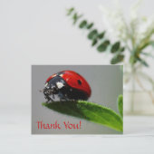 LadyBug bedankt! Briefkaart (Staand voorkant)