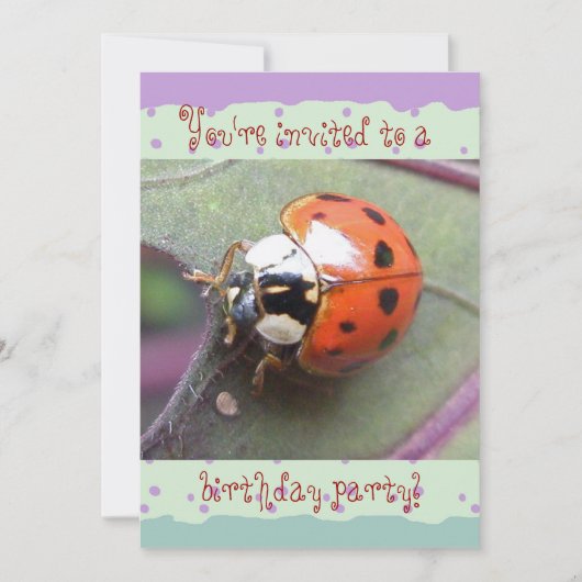 Ladybug Birthday Invitation (Devant)