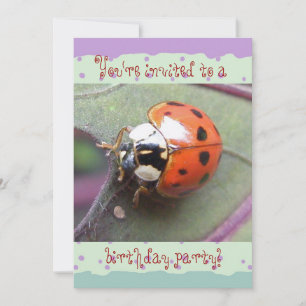 Ladybug Birthday Invitation Kaart