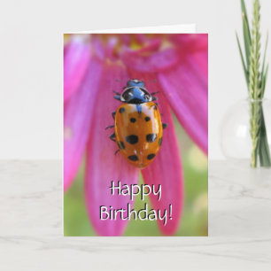 Ladybug Birthday-kaart Kaart