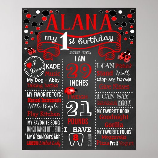 Ladybug Birthday Party chalkboard poster (Voorkant)