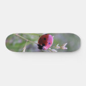 Ladybug board skateboard (Horizontaal)