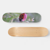 Ladybug board skateboard (Horizontaal)