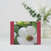 Ladybug Briefkaart (Staand voorkant)