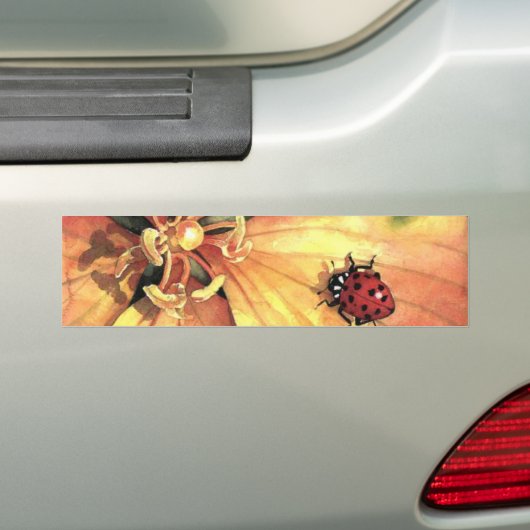 ladybug-bumpersticker bumpersticker (Op auto)