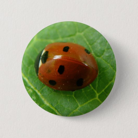 Ladybug-Button Ronde Button 5,7 Cm (Voorkant)