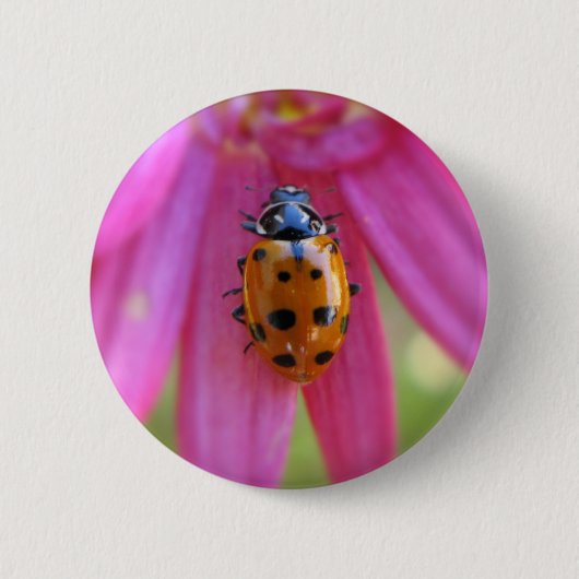 Ladybug-Button Ronde Button 5,7 Cm (Voorkant)