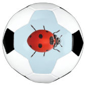 Ladybug Chanceuse (Tourné)