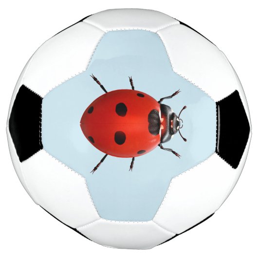 Ladybug Chanceuse (Tourné)