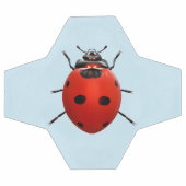 Ladybug Chanceuse (Plat)