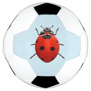 Ladybug Chanceuse