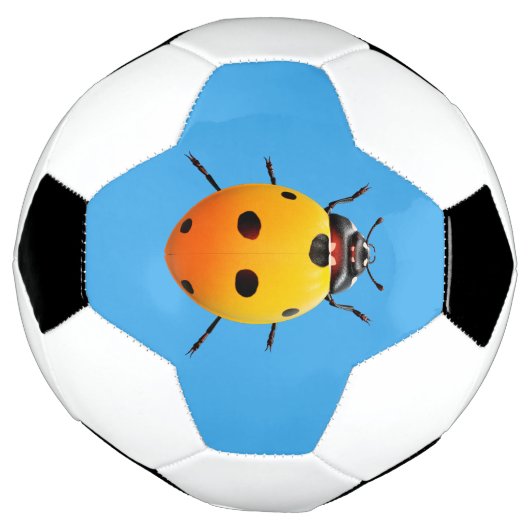Ladybug Chanceuse (Tourné)