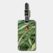 Ladybug (Coccinellidae) Bagagelabel (Voorkant verticaal)