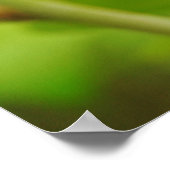 Ladybug dans la Bible Feuille Verse Art Poster (Coin)