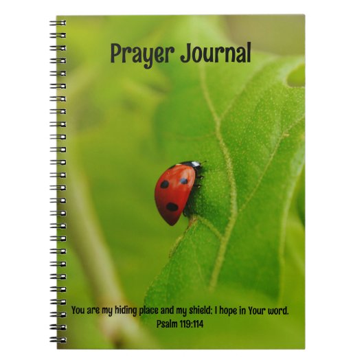 Ladybug dans la Bible Feuille Verse Prayer Journal (Devant)