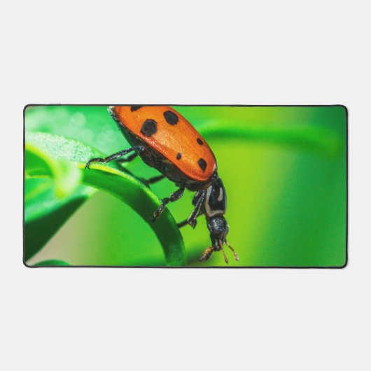 Ladybug Desk Mat | Nature Workspace Aesthetic (Recto)