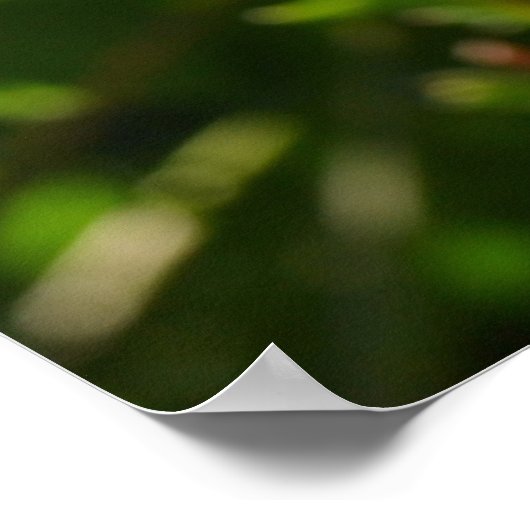 Ladybug en Daisies Poster (Hoek)