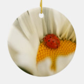 Ladybug en Daisy Ornament (Achterkant)