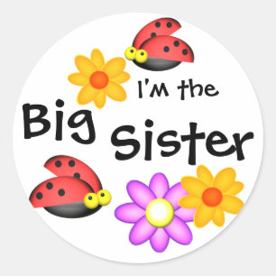 Ladybug en Flowers Ronde Sticker