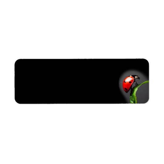 Ladybug Etiket (Voorkant)