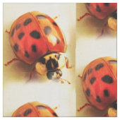 Ladybug Fabric Stof (Close Up)