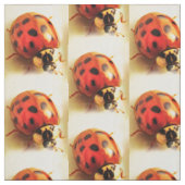 Ladybug Fabric Stof (Swatch)