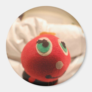 Ladybug Face Magnet Magneet