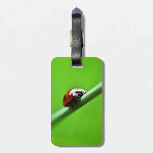 Ladybug foto bagagelabel (Achterkant verticaal)