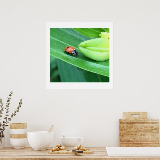 Ladybug-foto Poster (Keuken)