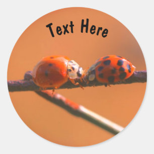 Ladybug Friends Natuur Gepersonaliseerd Ronde Sticker