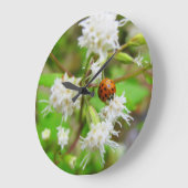 Ladybug Grote Klok (Hoek)