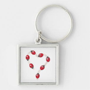 Ladybug Heart Keychain