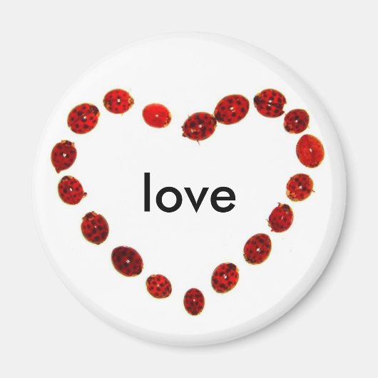 Ladybug Heart Love Magnet (Devant)