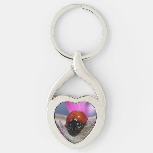 Ladybug Heart Sleutelhanger (Voorkant)