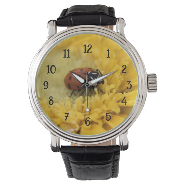 Ladybug Horloge (Voorkant)